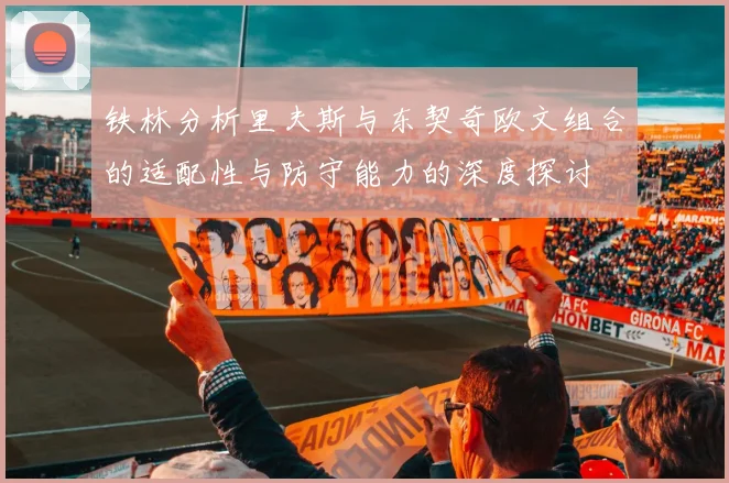 铁林分析里夫斯与东契奇欧文组合的适配性与防守能力的深度探讨